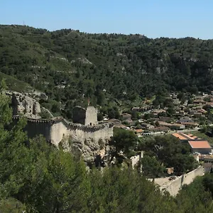 Les Lavandes De Sèverine France